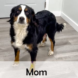 mom